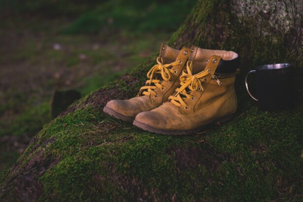 Botas